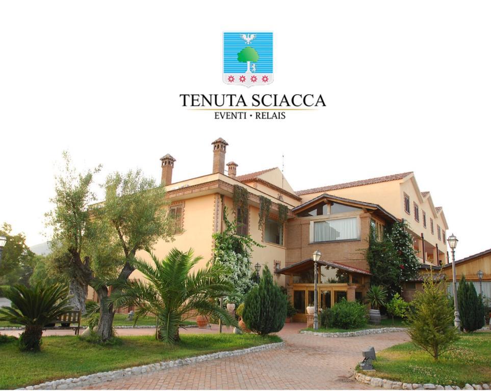 Tenuta Sciacca Villa Falciano del Massico Exterior foto
