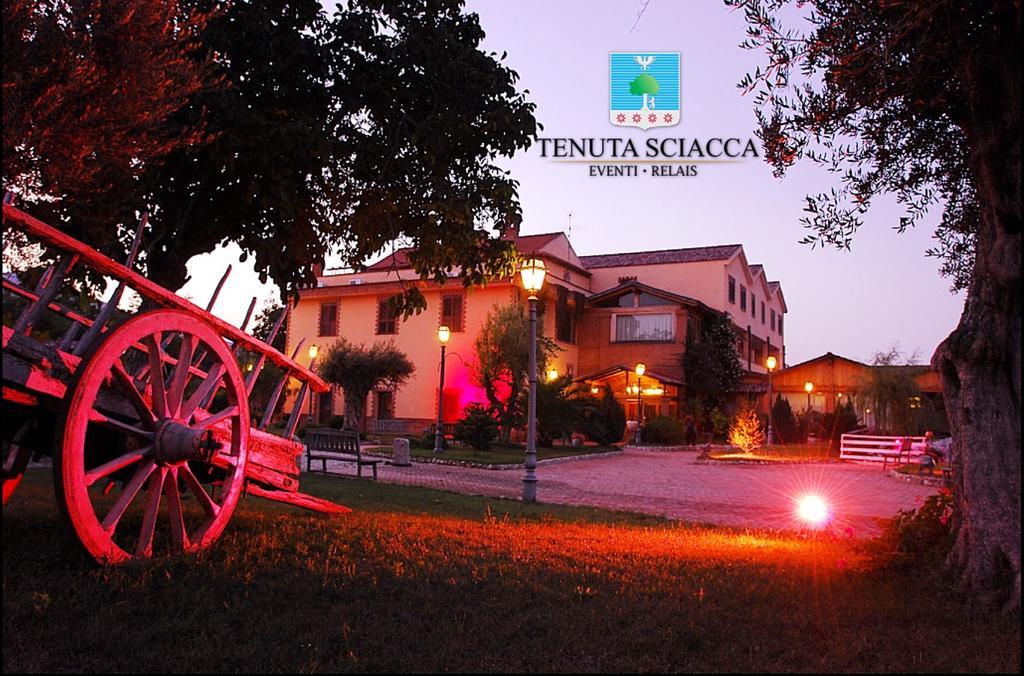 Tenuta Sciacca Villa Falciano del Massico Exterior foto