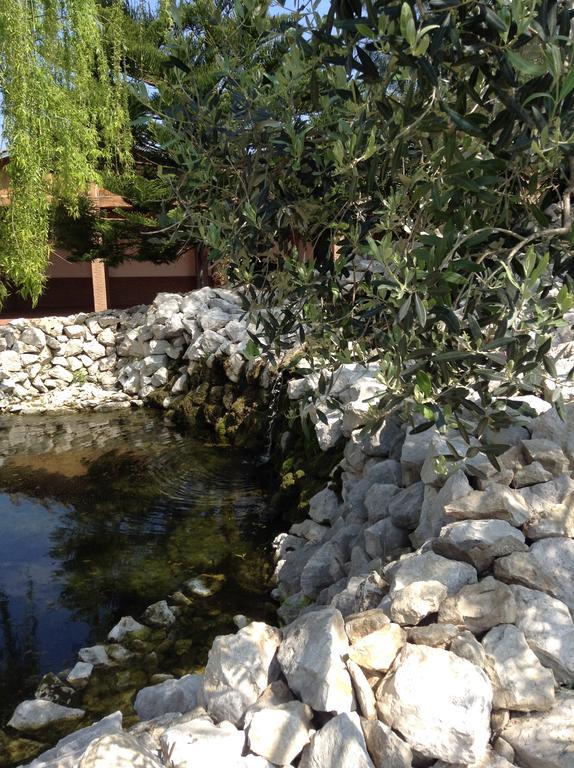 Tenuta Sciacca Villa Falciano del Massico Exterior foto